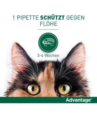 Elanco Advantage Spot-On 80 for Large Cats & Rabbits | Flea Protection for 4-8 kg | 4 Pipettes - Effective & Easy Application - Buy Online on GoSupps.com