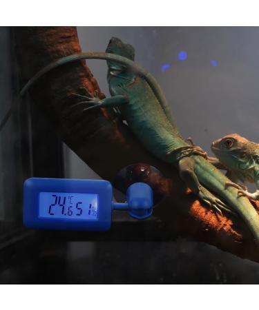 Frcolor Digital Reptile Hygrometer & Thermometer for Bartagame Tanks - Accurate Temperature Monitoring & Display | Sky Blue 10x3x1.5cm - Buy Online on GoSupps.com