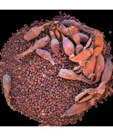 KOPABANA Organic Alligator Pepper Seeds - Premium Mbongo Spice | 1oz Grains of Paradise - Buy Online on GoSupps.com