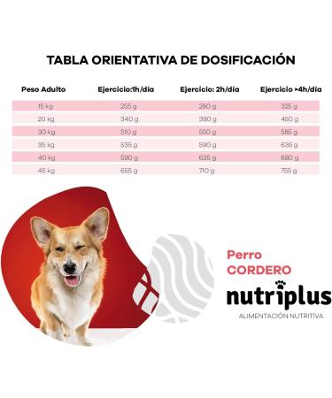 NUTRIPLUS PERROS ADULTO CORDERO (3 KG) - Buy Online on GoSupps.com