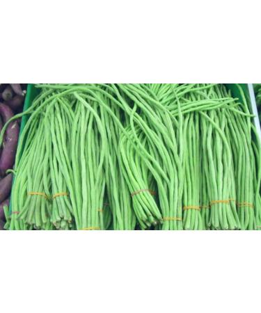 Cool Chinese Chive Seeds 500 Natural Organic Green Chiatai Thai Chive Seeds - Buy Online on GoSupps.com