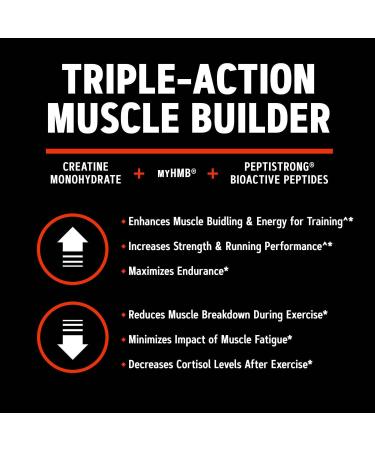 GNC AMP CREABOLIC Triple Actoin Muscle Builder with 5G Micronized Creatine Monohydrate 3G of myHMB and 2.4G Peptistrong Lemonade 30 Servings - Buy Online on GoSupps.com