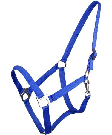 Buy Netproshop Halter & Lead Rope for Mini to XL Full Shetland Ponies - Blue - Perfect Fit for Your Darling! - Buy Online on GoSupps.com