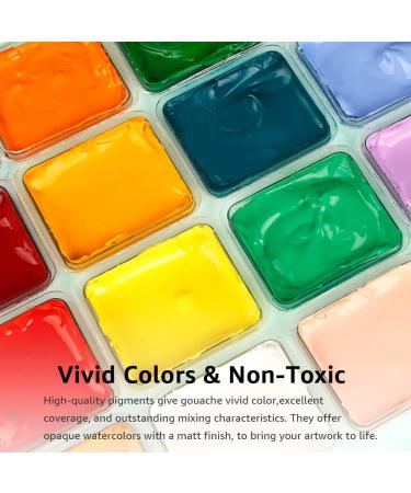 HIMI Gouache Paint Set 24 Colors x 30ml/1oz with Brushes & Palette - Non-Toxic Guache Paint for Canvas & Watercolor Paper - Ideal for Beginners, Students & Artists - Green Case - Buy Online on GoSupps.com