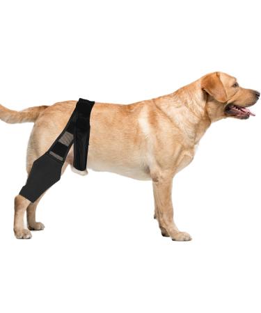 HSHGZSR Dog Knee Brace for Hind Leg Breathable Dog Leg Braces Comfortable Soft Dog ACL Brace Adjustable Pet Back Leg Support Brace for Supporting Dogs with Torn ACL Muscle Hind Leg Joint Discomfort Black L - Buy Online on GoSupps.com