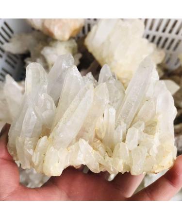 Natural Crystal Rough 1pc 300g-500g Natural Clear Smoky Quartz Cluster Bulk Crystal Cluster geode Crystal Specimen for Sale - Buy Online on GoSupps.com