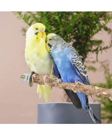 6 Pcs Bird Perch Stand Set Bird Cage Parrot Toys Natural Wood Branch Standing Stick Platform Playground for Small Medium Budgies Love Macaws Finches Cockatiel Parakeet Conure Cage Accessory 3 Types - Buy Online on GoSupps.com