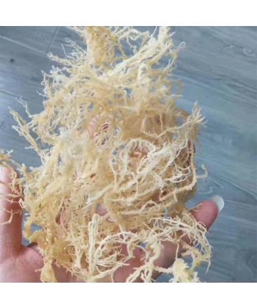 Sea Moss Dried Sea Vegetable Seaweed 300g - Buy Online on GoSupps.com
