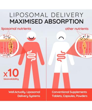 Well Actually Liposomal Vitamin B Complex High Strength and Bioavailability8 Essential B Vitamins Complex for Energy 50 Servings - Buy Online on GoSupps.com