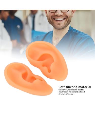 ZJchao 2-Pack Soft Silicone Ear Models for Acupuncture Training | Flexible Ear Anatomy for Doctors & Hospitals - International Shipping Available - Buy Online on GoSupps.com