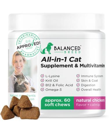 Balanced Breed L-Lysine for Cats Immune Support Skin Coat Sneezing Runny Nose Watery Eyes Cat Multivitamin Omega 3 Cat Vitamins B12 & Folic Acid Natural Booster Supplements Chicken Flavor Catnip Treat