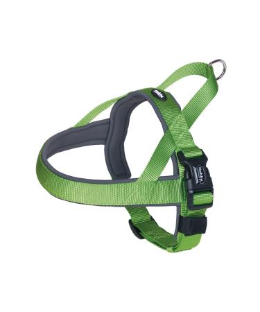 Nobby Norwegians Classic Preno neon green/gray L: 38-50 cm + 36 cm B: 20/25 mm 1 piece 38 - 50 mm/20 25 mm neon green/gray