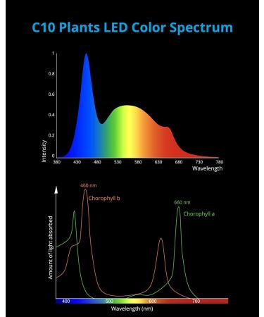 NICREW C10 LED Aquarium Light - Full Spectrum Freshwater Fish Tank Light with LCD Timer, 18-24 in, 13 Watts - Buy Online on GoSupps.com