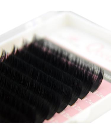 Qeelasee Matte Mink Flat Eyelash Extension 0.25 D Curl 13mm - Professional Salon Grade Individual Eyelashes - 1 Ounce Pack - Buy Online on GoSupps.com