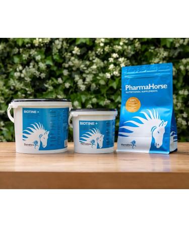 PharmaHorse BCAA | Essential Branched-Chain Amino Acids | No Sugar | Doping-Free | 1000g - International Shipping Available - Buy Online on GoSupps.com