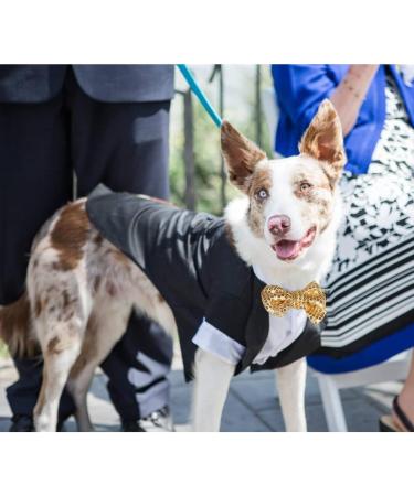 Black Dog Tuxedo Costume with Bow Tie for Halloween, Wedding, and Parties - Medium Size - Buy Online on GoSupps.com