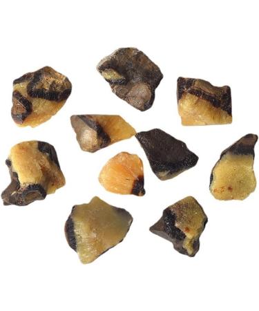 Septarian Raw Crystals Large 1.25-2.0 | Healing & Natural Rough Stones for Tumbling, Cabbing, Decoration | Wicca, Reiki & Polishing - Buy Online on GoSupps.com