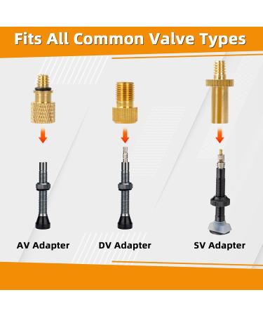 40-Part Bicycle Valve Adapter Set - All Valve Adapters for Air Pumps French Valve Adapters Ball Pump Needles & Sorting Box | SV AV DV PV Extenders - Buy Online on GoSupps.com