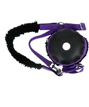 Full Violet She Muzzle for Horses - Comfortable & Durable | International Shipping Available - Buy Online on GoSupps.com