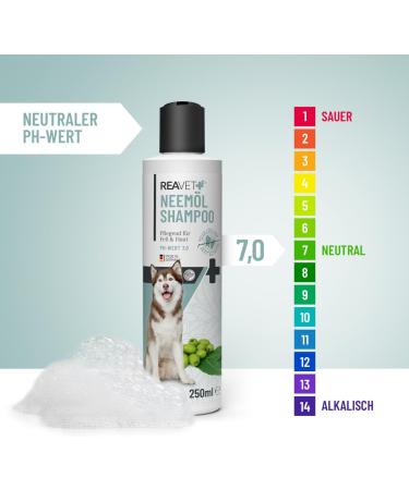 Reavet Dog Shampoo 250ml - Neem Oil Formula for Itching Fleas Ticks & Mites - Suitable for All Breeds & Puppies - Pleasant Fragrance & Skin-Friendly - Buy Online on GoSupps.com