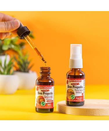 Nutridom Bee Propolis Extract Liquid Drops (30ml) Non-GMO Alcohol Free Gluten-free Soy-free and Dairy-free Made in Canada - Buy Online on GoSupps.com