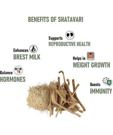 VK Shatavari Powder Peeli Shatavar Churna Satavar 100 Grams Satawar Shatawari Shatavri Indian Asparagus - Buy Online on GoSupps.com