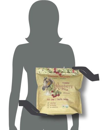 Foothills Naturals Raspberry Leaf Organic Cut - 1 Pound (454g) Equine Herb for Mares Geldings Stallions. Nutritional Moodiness - Buy Online on GoSupps.com