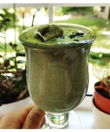 Myvial Bio Chlorella Powder 100g - Vegan Additive-Free Plastic-Free Rich in Vitamin B12 & Iron - Premium Chlorella Vulgaris Algae Powder for Optimal Health - Buy Online on GoSupps.com