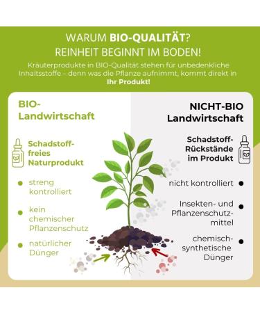 Danhofer said NEW Auwald Red Clover Drops BIO Highquality extract extract essence and tincture 100 organic farming free from artificial additives and dyes made in Austria 100ml - Buy Online on GoSupps.com