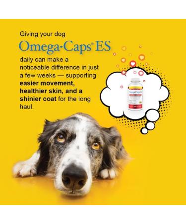 Omega-Caps ES for Large & Giant Dogs (250 Caps) 250 soft gels - Buy Online on GoSupps.com