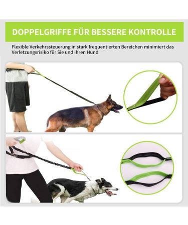 Premium Dog Leash for Large Dogs | Dual Grip Jogging Line with Reflective Seams & Feces Bag Dispenser | Adjustable Shock-Damping Black/Green - Buy Online on GoSupps.com
