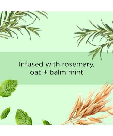 True Curl Light Hold Defining Hair Gel - Vegan & Cruelty-Free | For Frizz-Free Wavy & Curly Hair - Silicone, Sulfate, and Paraben-Free - 6 Fl Oz - Buy Online on GoSupps.com