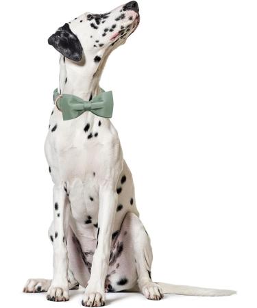 Lionet Paws Comfortable Silk Dog Collar with Removable Fly for XLarge Dogs - Green Neck 40-66cm (1 Pack) - Shop Internationally! - Buy Online on GoSupps.com