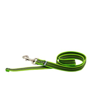 Rubberized leash without hand loop - green 200 cm (2 m) 200 cm green