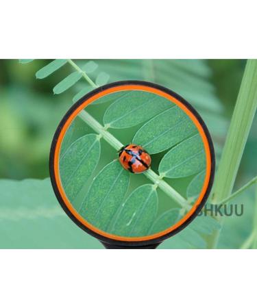 10X Magnifiers Real Glass Magnifying Lens 75mm Diameter Reading Magnifying Glass for Reading Book Newspaper Map Puzzle Jewellery Vision - Buy Online on GoSupps.com