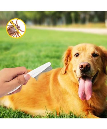 Pet Flea Cleaner Comb 2pcs Grooming Brush Magic Fine Pet Comb Stainless Steel Massage Comb Kit for Small Dogs and Cats (blue) - Buy Online on GoSupps.com