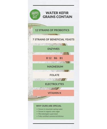 Organic Dehydrated Water Kefir Grains by Happy Gut - Unlimited Usage, Vegan, Gluten-Free - Buy Online on GoSupps.com