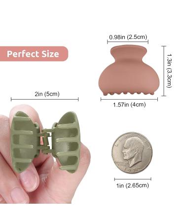 12-Pack Small Hair Claw Clips for Women - Lolalet Cute Medium Size Acrylic Hair Clamps - Style B1 - Assorted Colors - Perfect for Thin, Fine, Short Hair - No Slip Mini Banana Clips for Girls and Kids - Buy Online on GoSupps.com