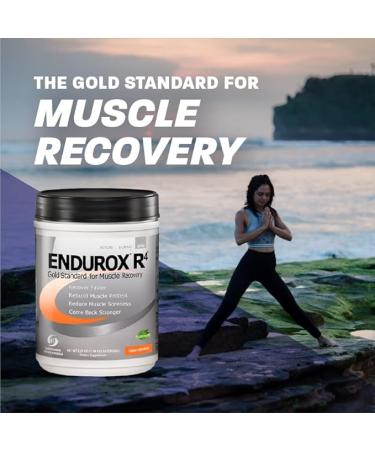 PacificHealth Endurox R4, Post Workout Recovery Drink Mix with Protein, Carbs, Electrolytes and Antioxidants for Superior Muscle Recovery, Net Wt. 2.29 lb., 14 Serving (Chocolate) - Buy Online on GoSupps.com
