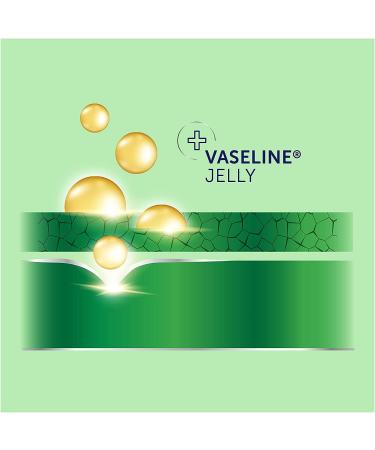 Vaseline Intensive Care Lotion 10 Ounce Aloe Soothe (Dry Skin) (295ml) (2 Pack) - Buy Online on GoSupps.com
