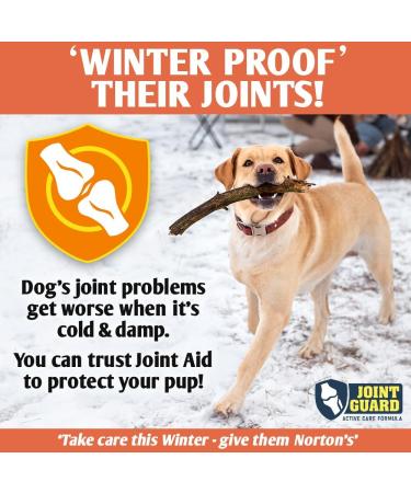 NORTON'S Dog Joint Care Supplements | 300 Tablets with Green Lipped Mussel, Glucosamine & Chondroitin for Stiff Joints | Hyaluronic Acid, Manganese, and Vitamins | Dog Joint Support - Buy Online on GoSupps.com