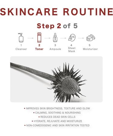 RAWQUEST Echinacea Korean Toner | Deep Hydration Anti-Aging & Soothing Formula with Hyaluronic Acid | Ideal for Dry & Sensitive Skin - Buy Online on GoSupps.com