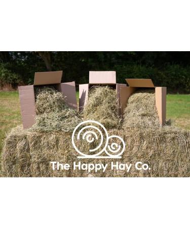 The Happy Hay Company Timothy Rabbit Hay - Fresh Feeding Hay For Rabbits & Guinea Pigs (10KG) 20 g (Pack of 500) - Buy Online on GoSupps.com