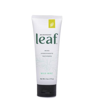 REDMOND Leaf Micro Hydroxyapatite Toothpaste Tube (Wild Mint)