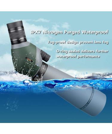 Gosky 20-60x80 Dual Focusing ED Spotting Scope with Smartphone Adapter | Ultra HD Optics for Bird Watching, Hunting, Astronomy | Includes Carrying Case - Buy Online on GoSupps.com