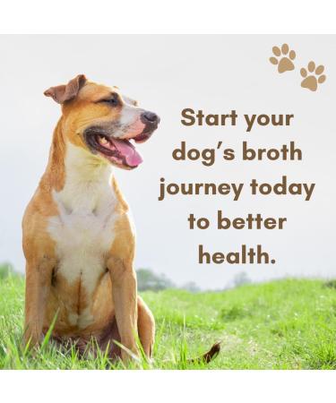 Boil & Broth Beef Broth for Dogs | 100% Pure Protein Powder | Type II Bovine Collagen | Grass-Fed Bones | Human-Grade | Hip & Joint Support | Digestion & Gut Health | 120g Pack - Buy Online on GoSupps.com
