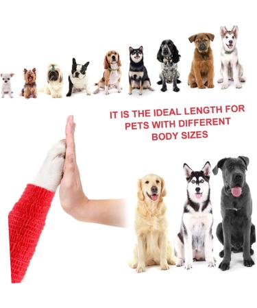 Hemoton 6 Pcs Self-Adhesive Kinesiology Sports Tape | Protective Athletic Wraps & Finger Guard | International Shipping - Buy Online on GoSupps.com