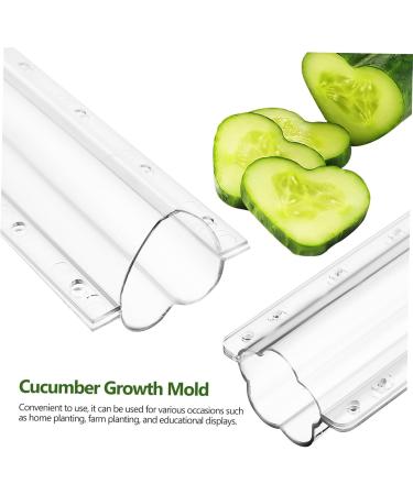 GANAZONO Cucumber Molds 4 Pcs Cucumber Fruit Shape Mold Fruit Shaping Mold Vegetable Mold Combination Modeling Accessories - Buy Online on GoSupps.com