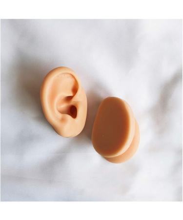 Silicone Ear Model for Acupuncture - Life Size Artificial Ear Model - Simulation Silicone Ear Model for Ear Picking Practice Studs Earring Display Props - Buy Online on GoSupps.com