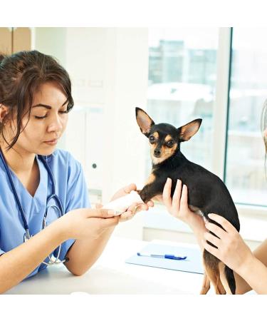 Wendergo 6 Rolls Self Adhering Bandage Injury Wrap Tape for Cats Pet Vet Wrap Bulk Stretch Tape for Wrist Ankle Sprains & Swelling Supports Muscles and Joints - Buy Online on GoSupps.com